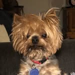 Daria Salerno Clark - @grandma_scissorhands - Instagram