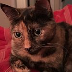 Daria Cooper - @darcoop - Instagram