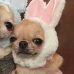 Daria Kim - @daria.candy.kim - Instagram