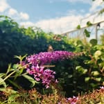Дарья - @dariakim_pahmutova - Instagram