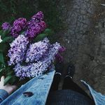Дарья Крамер - @daria_delano_kramer - Instagram