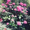 Darialenz0431 - @life_dari - TikTok