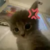 Daria Mackowiak - @daria.mackowiak7 - TikTok