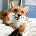 Mai_daria - @daria_maistruk - Instagram