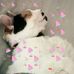 Daria Mayer - Facebook
