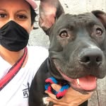 @daria.morrison - Instagram