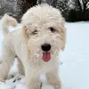 Sasha Albright - @pierce.daria.sasha - TikTok