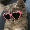 Daria🤍💗pink - @daniela.goncear8 - TikTok