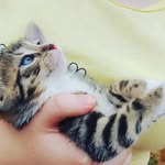 Daria - @daria.popescu123 - Instagram