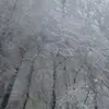daria_porter_ - @daria_porter_ - TikTok