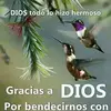 Daria Ramos381 - @el001pero - TikTok