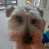 dariarodriguezr - @dariarodriguezr - TikTok