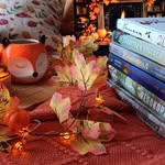 Daria | autumn 🍂 lifestyle - @dariarosereads - Instagram