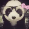 darianaluvsherman7 - @darianaluvsherman7 - TikTok