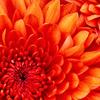 Darin Chaney - @darin.chaney - TikTok