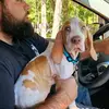 Darin Doyle - @darin.doyle - TikTok