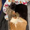 DarianGardner - @darian.gardner - TikTok