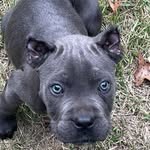 Darian Perry - @dcp555 - Instagram