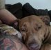 Dorin Peterson - Facebook