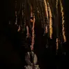 dariana - @dariana.prado_ - TikTok