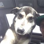 Mike Feser - @dariansquick3232 - Instagram