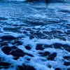 Darian  Rivera - @darian.rivera10 - TikTok