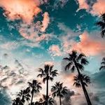 Darian Rivera - @richi17rivera - Instagram