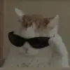 Darian Silva - @darian.silva0 - TikTok