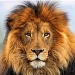 darian sly - @dariansly1971 - Instagram