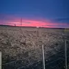 Darian Walker - @darian.walker5 - TikTok