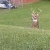 Darian L Webb - Facebook