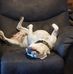Darin Webb - Facebook