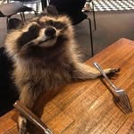Darien Wells - @vb_dairy - Instagram
