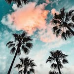 Darien Daniel Garcia Galindo - @dariendanielgarciagalindo - Instagram
