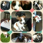 Darren Glover - @darren.glover.568632 - Instagram