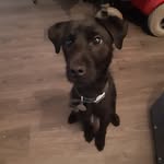Darren Glover - @darren.glover.1217 - Instagram