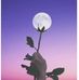 Daria Swets - Facebook