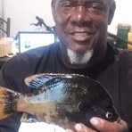 Darien Shepherd - Facebook