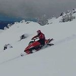 Darien Sheppard - @shepparddarien - Instagram