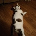 Darren Talley - @darren.talley.3 - Instagram