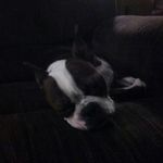 Darien Hammers - @darienhammers - Instagram