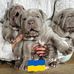 Babich Daria - Facebook