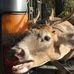 Daryn Cuthrell - Facebook