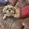 Dee - @darilynsmith8871 - TikTok