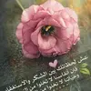 Darin Ahmed - @darin.ahmed23 - TikTok