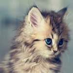 дарина - @darinameserakova752 - Instagram