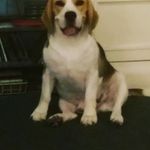 Darin Andrews - @andrews_darin - Instagram