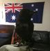 Darrin Avery - Facebook