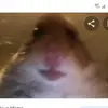Darrin Bailey - @darrinbailey3 - TikTok