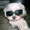 DarinBaker - @casannlapnl - TikTok